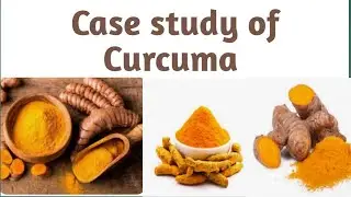 Пример применения Curcuma|HDT|Unit 4|B.pharm 6sem #curcuma #casestudy #hdt
