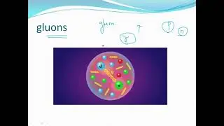Fundamental Interactions | Understanding Physics