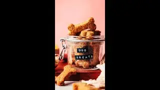 Easy Peanut Butter Pumpkin Dog Treats (3 Ingredients!) | Minimalist Baker Recipes