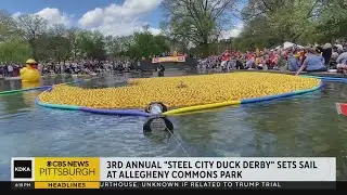 Steel City Duck Derby takes over Allegheny Commons Park