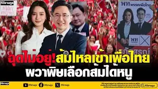 ฉุดไม่อยู่!ส้มไหลเข้าเพื่อไทย ผวาพิษเลือกส้มได้หนู