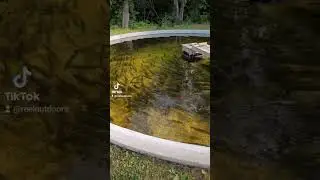 Brook Trout Fish Hatchery on the Margaree River Cape Breton Island