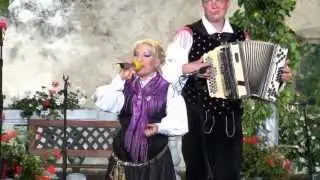 Ansambel Vitezi celjski-Jodl polka (v živo)