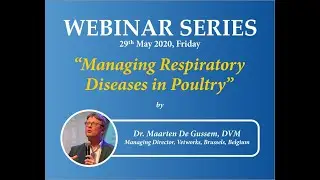 Managing Respiratory Diseases in Poultry