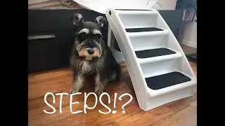 PetSafe CozyUp Folding Pet Steps - Part 1: Life with Rocco