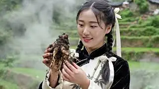 Stinky Ginseng Medicinal Treasure-You Won&rsquo;t Believe This Smelly Plant Is a Powerful Medicine 😳