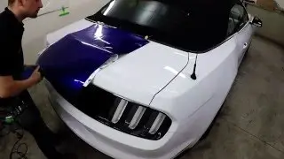Ford Mustang - Racing stripes