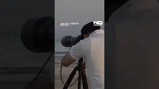 Flamingos return to Lake Van during seasonal migration #nocomment #youtubeshorts #shorts #vang&ouml;l&uuml;