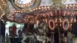 June 2016 Carousel Ride ... Dan Nicholas Park