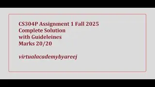 CS304P Assignment 1 Fall 2025 ||CS304P Assignment 1 complete solution with guidelines