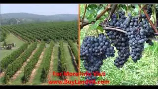 Land For Sale, Orange County
