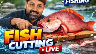 🔴 LIVE Fish Cutting Now | আজ এত বড় মাছ! 😱