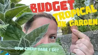 Will as little as &pound;100 💵 buy you a tropical garden 🏝in the UK? 🇬🇧