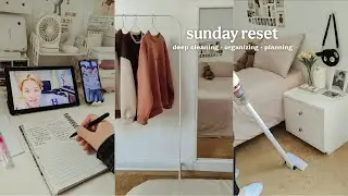 Productive Vlog: Deep cleaning my room, planning, watching anime, mini room tour 🌷 Aesthetic Vlog