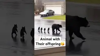 Animal parenting behavior is so amazing #animals #animalparents #funnyvideos #foryou #fyp