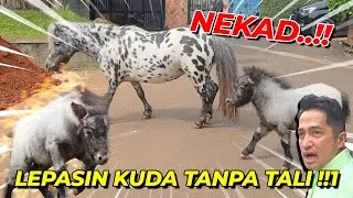 LEPASIN JULIETTE DAN PITRI TANPA TALI..!!! AMAN GAK ?!! DAG DIG DUG GUE...