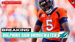 BREAKING: MIAMI DOLPHINS SIGN VETERAN QB TEDDY BRIDGEWATER AS BACKUP QUARTERBACK | Analysis
