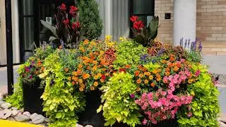 The ELITE Awards for Plant Design