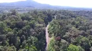 Hutan Lipur Chemerong