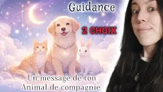 🐾 Ton animal de compagnie a des messages pour toi ! | GUIDANCE &Agrave; 2 CHOIX 🔮