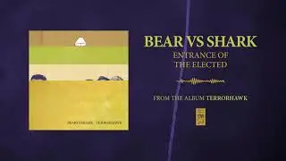 Bear Vs. Shark 