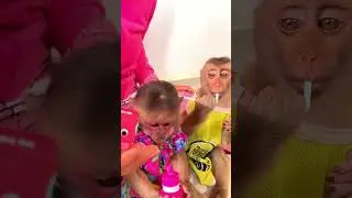 Monkey enjoys sunny days with caring human presence ���� #HappinessShared #MonkeyWorld