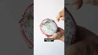 Dragon fruits&hellip; the next big thing in Indian horticulture.