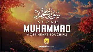 Surah Muhammad (سورة محمد) | Soul-Stirring Calm Recitation for True Success | Tadhkirah Tv