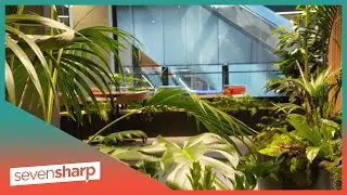 A tranquil oasis in the most unlikely space