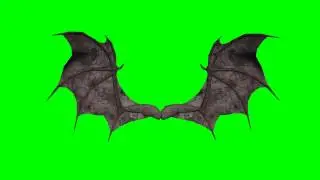 animated demon wings -   greenscreen effects - free use