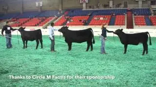 Circle M Showmanship Showdown