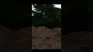 Possibly the BEST accidental RC stunt🤣