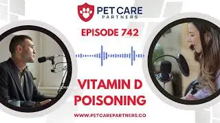 Ep. 742 | Vitamin D Poisoning in Pets: Signs, Dangers & Treatment | Pet Care Partners