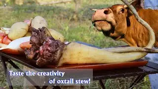 Taste the RICHNESS of Stewed Oxtail!| Đu&ocirc;i b&ograve; ninh nục