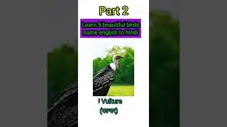 Beautiful Birds Name English To Hindi||पक्षियों के नाम हिंदी से इंग्लिश में||#short #shortvideo #gk