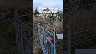 skal &aelig; se hvor mye like &aelig; f&aring;r.