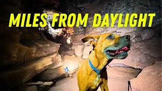 Исследование пещеры с собакой вылилось в нечто невероятное! 🐾😳
