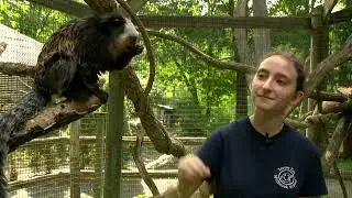 Road Trip: Millbrook School's Trevor Zoo cares for nearly a dozen endangered species