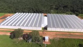 Projeto para Tomate - MaxiVent 11.112 m2 - Zanatta Estufas