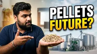 Are Biomass Pellet Plants The FUTURE of Renewable Energy?