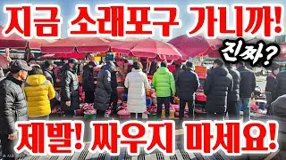 진짜! 지금 소래포구 가니까! 제발 싸우지 마세요! 놀라자빠지겠네! #시장 #소래포구 #강원도 #제주도 #부산 #해돋이 #쇼핑 #바가지 #국내산 #중국산 #먹거리 #food