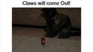 Lambkin's first movie