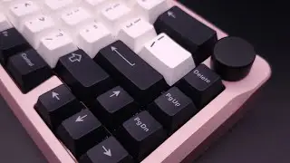 Gateron Melodic | Clicky Switch Sound Test | AL65 Aluminum Board