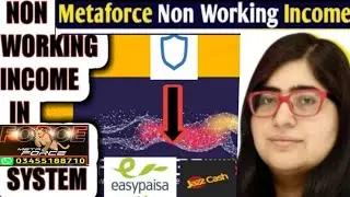 METAFORCE NON WORKING INCOME | METAFORCE EARNING
