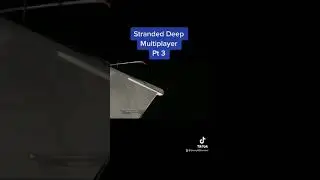 Stranded Deep Multiplayer