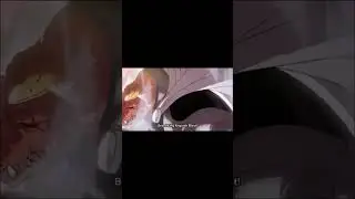 Dai defeat Crocodile