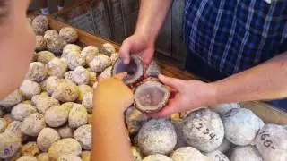 Amethyst Coconut Geode Revealed @ KNOTTS BERRY FARM