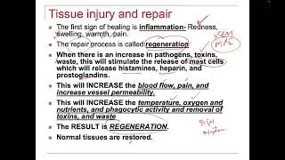 Tissue Repair- Inflammation- Signs vs Symptoms- MRI contraindications