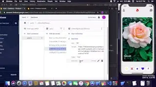 Tinder Using Firebase With SwiftUI - Part 5 Final - Tinder Swipe In SwiftUI - Tinder Design SwiftUI