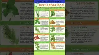 Herbs That heal Best Healing Medicinal Herbs, Spices And Plants Names, Health Benefits